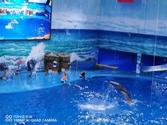 -多彩贵州城极地海洋世界