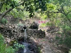 -宁波市保国寺古建筑博物馆