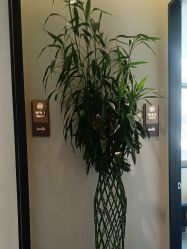 -韩辰医疗美容医院