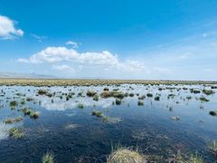 -花湖生态旅游区