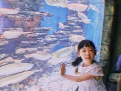 -多彩贵州城极地海洋世界