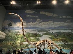 -自贡恐龙博物馆