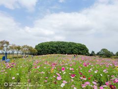 -嘉北郊野公园