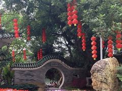 -荔湾湖公园