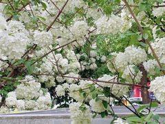 -大龙山(地铁站)