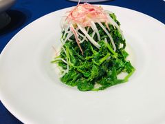 火丝银芽豆苗-江南雅厨(李公堤店)