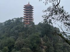 -缙云山景区
