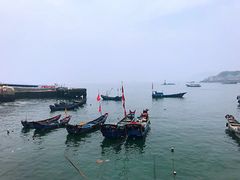 -东极岛景区