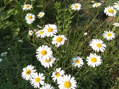-重庆雨台山风景区
