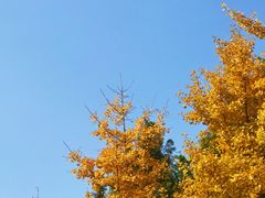 -辽东学院(南校区)