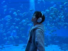 -南昌融创海世界