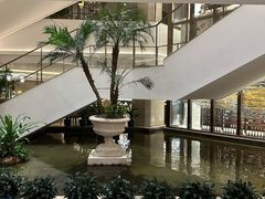 -广州白天鹅宾馆