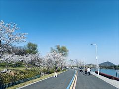 -羊山湖公园
