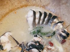 -滇小鱼·云南野生菌火锅(上杭路店)