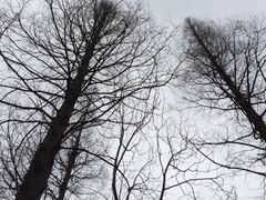 iphone_upload_pic-朱家角课植园