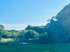 -艾溪湖湿地公园