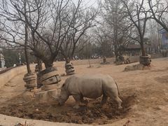 -西安秦岭野生动物园