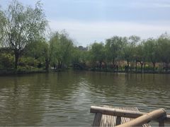 南汇桃花村-南汇桃花村