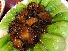-旭龙鱼头王(航华店)