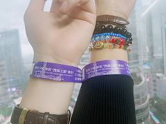 -WFC会仙楼观景台