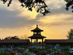 -水邑嘉年华酒店·中餐部(鄄城店)