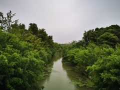 -昆山城市生态森林公园