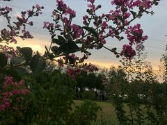 -四里河滨水生态公园