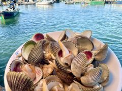 -蓝湾碧波·老字号·疍家非遗海上餐厅