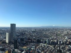 -东京都厅舍