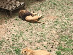 -石家庄市动物园