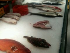 -海蓝海鲜馆(五四北店)