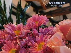 -北平小院设计酒店