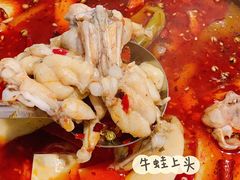 -靓蛙馆