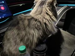 -博特宠物医院24h犬猫全科.骨科·异宠