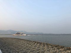 -野狸岛