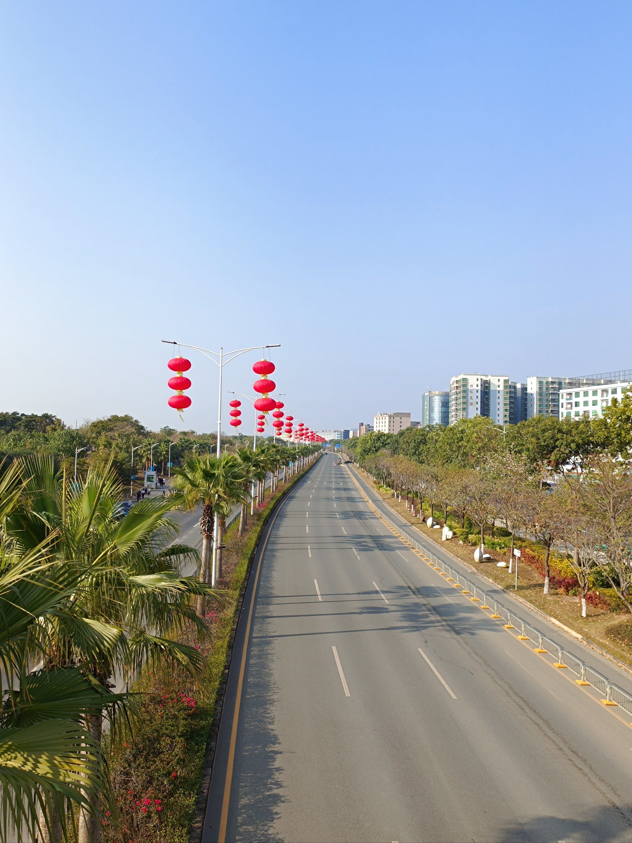 深圳红树林公园随拍