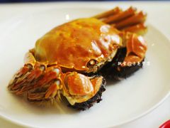 -新光酒家·河豚·海鲜·蟹料理(浦东店)