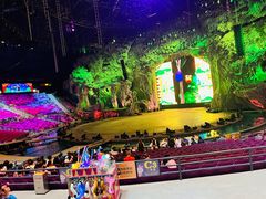 -广州长隆国际大马戏