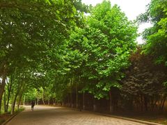 -黄河小浪底水利枢纽风景区