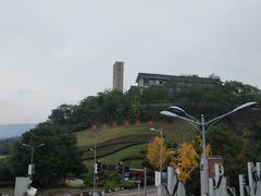 -铁山坪森林公园