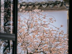 -拙政园