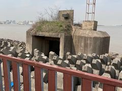 -上海滨江森林公园