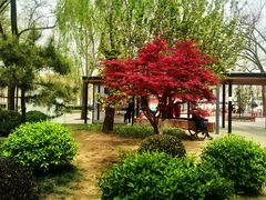 -海棠花溪(元大都城垣遗址公园)