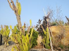 -厦门湾·白塘湾火山公园