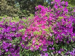 -南京市江宁方山