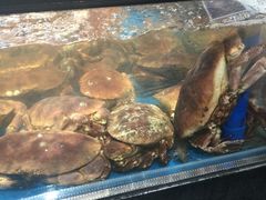 -盒马鲜生(曜一城店)