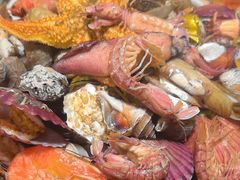 -船梆煮•蒸汽海鲜·炉火烤肉(五四广场店)