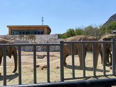 -新疆天山野生动物园