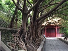 -南沙天后宫景区