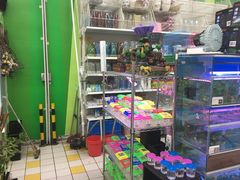 -大润发(张江店)